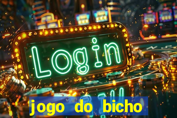 jogo do bicho crash bingo